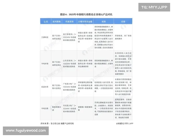精练石中盐提取技术面临的挑战与发展机遇分析 精练石中盐提取技术面临的挑战与发展机遇分析