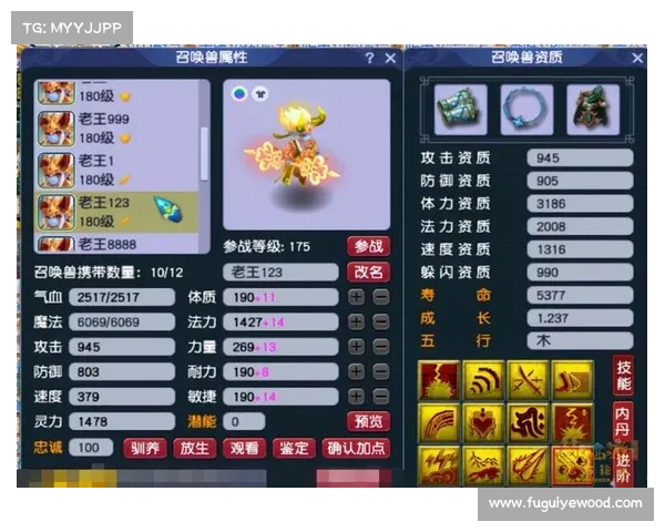 梦幻西游单机版5新版本攻略秘籍全面解析助你轻松制胜游戏巅峰 梦幻西游单机版5新版本攻略秘籍全面解析助你轻松制胜游戏巅峰