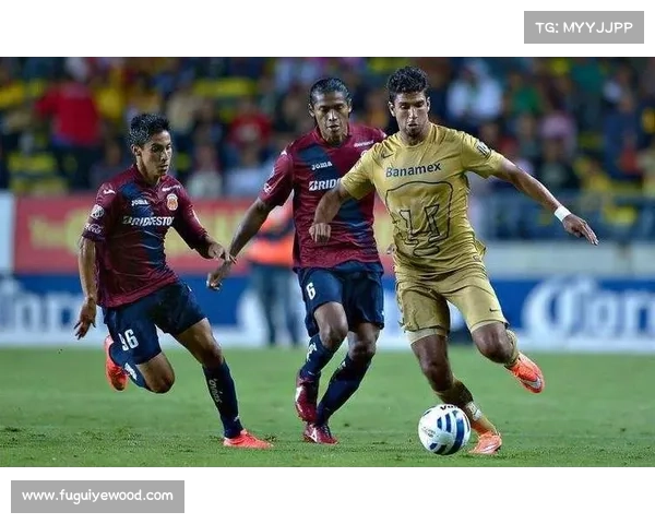 全面解析美冠杯赛事级别与赛制规则带你深入了解中北美足球巅峰对决