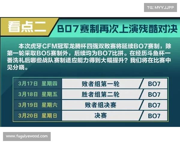 全面解析欧协杯决赛赛制与观赛实用指导深度详解权威手册全攻略指南