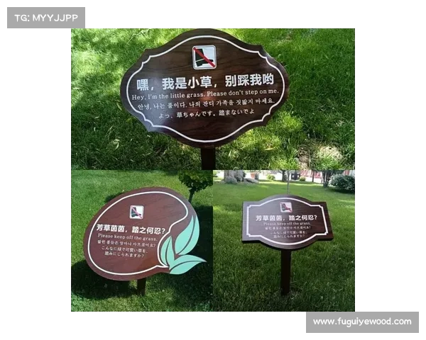 如何正确引导霍伊伦的表现提升与分析方法探讨