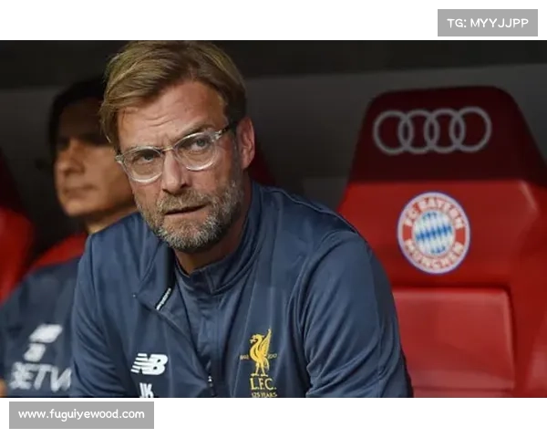 应对巴黎圣日耳曼豪购策略的风险与挑战分析及对策