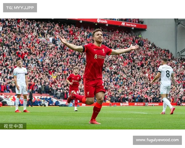 弗拉霍维奇连场破门精彩瞬间分析:五大进球细节回顾 弗拉霍维奇连场破门精彩瞬间分析:五大进球细节回顾