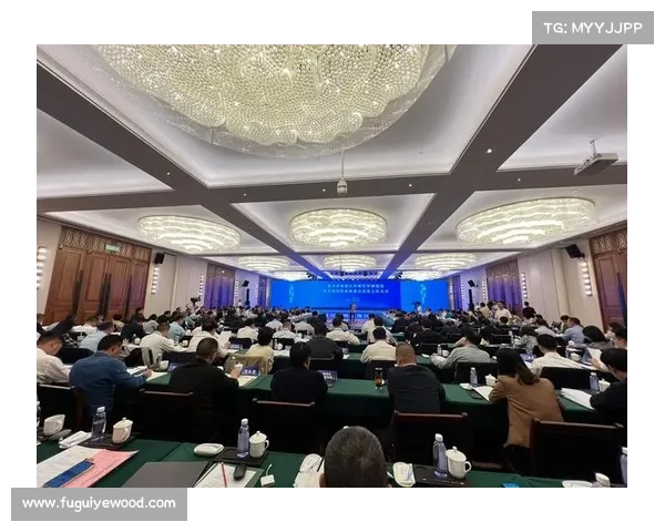 推动双城经济协同发展五大关键策略助力区域一体化进程